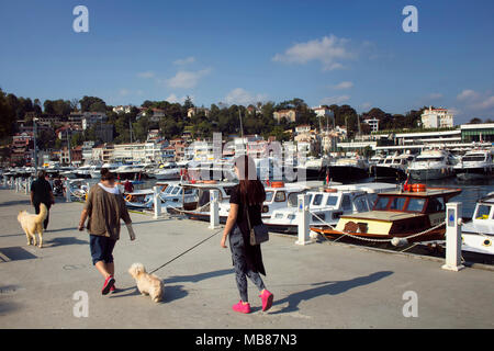 Les femmes à pied avec leurs chiens par Bosphore à côté de Tarabya Marina à Istanbul. Banque D'Images