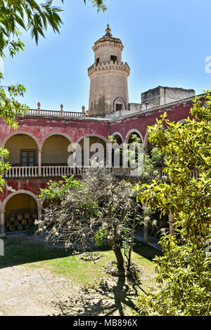 L'épave et se désagrège Hacienda de Jaral de Berrio en Jaral de Berrios, Guanajuato, Mexique. L'abandonné Jaral de Berrio hacienda était jadis l'un des plus grands au Mexique et installé plus de 6 000 personnes sur la propriété et est crédité de la création de mescal. Banque D'Images