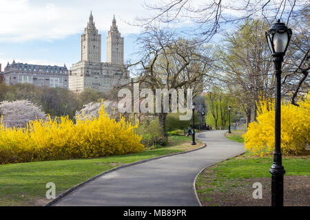 Chemin à travers Central Park Paysage de printemps à New York Banque D'Images