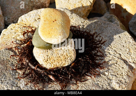 Pile de roches. Pebbles assis sur des algues sur des pierres sur Diamond Head , Australie Banque D'Images
