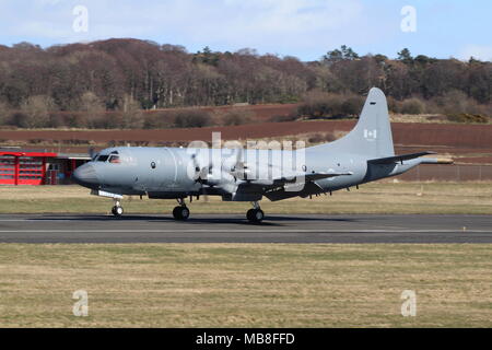 130103, un Lockheed CP-140 Aurora utilisés par la Royal Canadian Air Force, à l'aéroport de Prestwick en Ayrshire. Banque D'Images