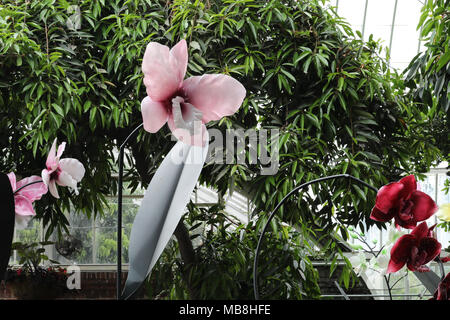 Les mages de belles orchidées tourné à Phipps Conservatory, mélangés à des sculptures en verre orchid. Banque D'Images