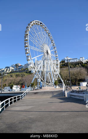 Le port de Torquay et du port de plaisance sur la Riviera anglaise de Devon l'English Riviera attraction touristique de roue Banque D'Images