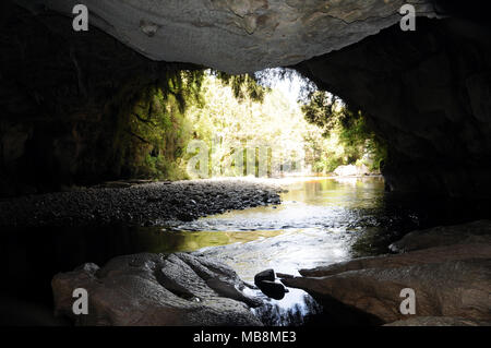 Moria Gate Arch dans le bassin Oparara est un spectaculaire passage de calcaire quelque 19 mètres de haut et 43 de large. Il est atteint par un travail décent dans une grotte de la bouche. Banque D'Images