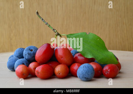 Tas de matières organiques en cornaline rouge cerises et petits fruits bleu prunellier ou Prunelle, nutritifs et curatifs, frais et mûrs, sur une planche en bois contre Banque D'Images