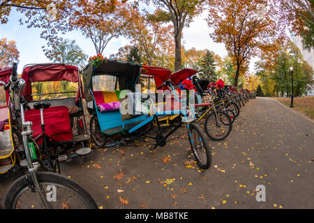 Plusieurs vélos colorés dans une rangée dans Central Park pendant la saison d'automne Banque D'Images