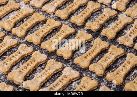 Des biscuits pour chiens sur fond noir Banque D'Images