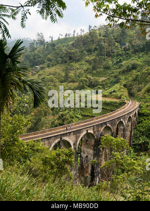 Vue verticale de 9 arches pont près de Ella, Sri Lanka. Banque D'Images