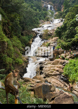 Vue verticale de Ravana Falls dans Ella, Sri Lanka. Banque D'Images