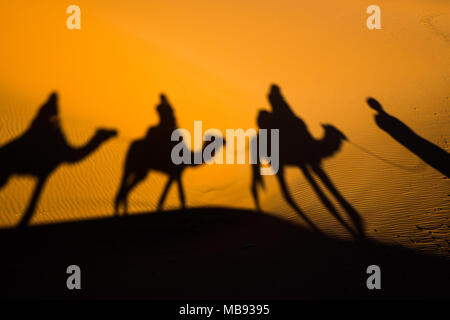 Caravane de chameaux et de déplacement des ombres sur le sable en désert du Sahara Banque D'Images