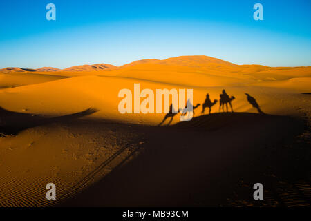 Prise de vue au grand angle de caravane de chameaux et de déplacement des ombres sur les dunes de sable au désert du Sahara Banque D'Images