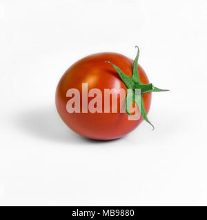 Tomate prune unique venu fond blanc composition carrée. Banque D'Images