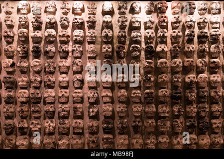 Crâne humain aztèque Musée des sculptures dans 'del Templo Mayor", Mexico (Tzompantli) Banque D'Images