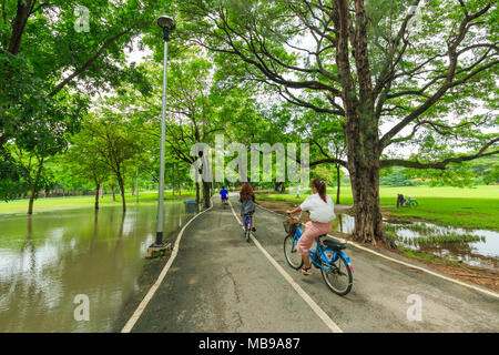 BANGKOK, THAÏLANDE - 7 janvier, 2016 hommes et femmes non identifiées : le vélo et la marche dans le parc ou Vachirabenjatus parc Train à Bangkok en Thaïlande. Banque D'Images