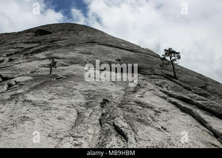 Visage de granit comme vu sur Demi Dôme's rock climbing route digue Serpent dans la vallée Yosemite