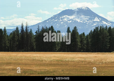 Mt magnifique. Shasta en Californie du nord en été dans une prairie sauvage jaune Banque D'Images