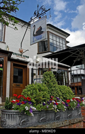 Stratford upon Avon et le fameux canard sale ou Black Swan public house. Banque D'Images