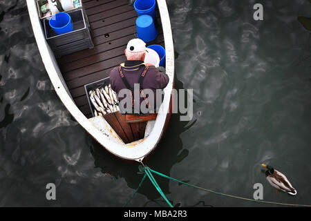 Wasserburg, Allemagne. Le 08 mai, 2014. Un pêcheur nettoie le corégone fraîchement pêché dans un bateau de pêche sur le lac de Constance au port de Wasserburg dans le Land allemand de Bavière le 8 mai 2014. Utilisation dans le monde entier | Credit : dpa/Alamy Live News Banque D'Images