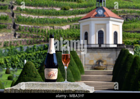 Radebeul, Allemagne. 27 juillet, 2017. Une bouteille de vin mousseux et un verre rempli dans les vignobles de Schloss Wackerbarth sur 27.07.2017 à Radebeul, Allemagne. Credit : Jens Kalaene Zentralbild-/dpa/ZB | worldwide/dpa/Alamy Live News Banque D'Images