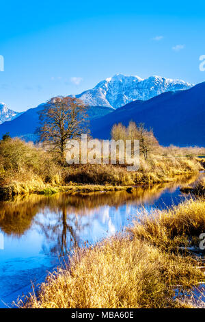 Réflexions de la neige a couvert la montagne Golden Ears et Edge pic dans les eaux des Pitt-Addington Marsh, dans la vallée du Fraser près de Maple Ridge, en Co Banque D'Images