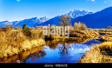 Réflexions de la neige a couvert la montagne Golden Ears et Edge pic dans les eaux des Pitt-Addington Marsh, dans la vallée du Fraser près de Maple Ridge, en Co Banque D'Images