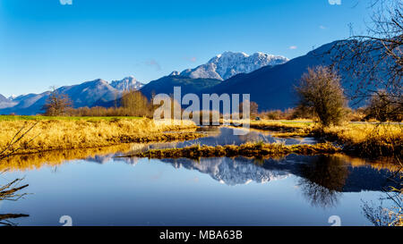 Réflexions de la neige a couvert la montagne Golden Ears et Edge pic dans les eaux des Pitt-Addington Marsh, dans la vallée du Fraser près de Maple Ridge, en Co Banque D'Images