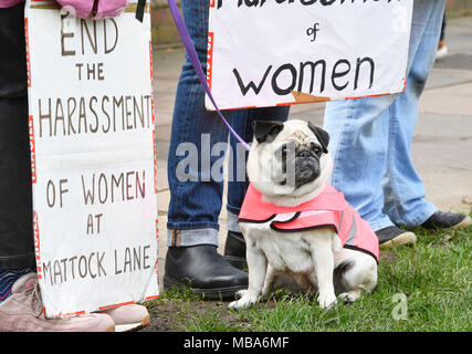 De 0001 SOUS EMBARGO MARDI 10 AVRIL Betty le chien avec les manifestants pro-choix à l'extérieur de la Marie Stopes clinic sur pioche Lane, en prévision d'un vote par Ealing Conseil sur l'opportunité de mettre en œuvre une zone de sécurité à l'extérieur de la clinique d'avortement à l'ouest de Londres pour protéger les femmes d'être intimidés. Banque D'Images