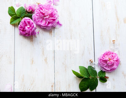 Cadre rond de roses roses, des feuilles, des branches vertes sur fond blanc. Mise à plat, vue du dessus. Carte de mariage, blog, publicité, châssis avec place fo Banque D'Images