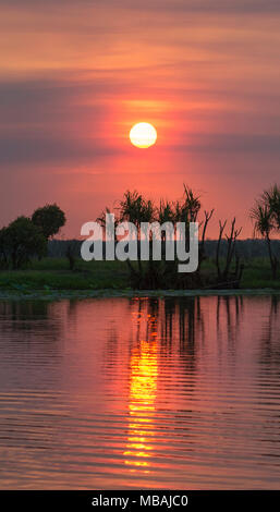 Coucher de soleil sur le Corroboree Billabong, partie de la Mary River Wetlands, dans le Territoire du Nord, Australie Banque D'Images