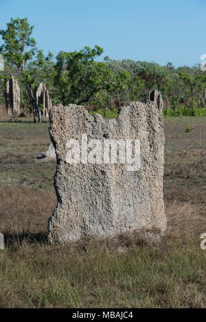 Termitières magnétiques dans la région de Litchfield National Park, Territoire du Nord, Australie. Les 2 mètres de haut mounds sont alignés au nord-sud Banque D'Images