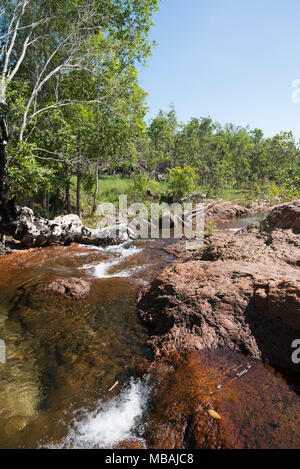 Buley Rockhole Litchfield National Park, Territoire du Nord, l'Australie est une série de cascades et rock-trous. C'est un lieu de baignade très populaire Banque D'Images