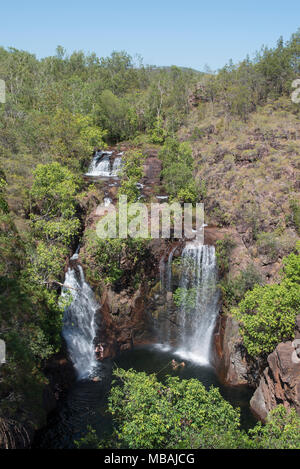 Florence Falls dans la région de Litchfield National Park, Territoire du Nord, l'Australie est une spectaculaire cascade double en cascades dont une piscine. Banque D'Images