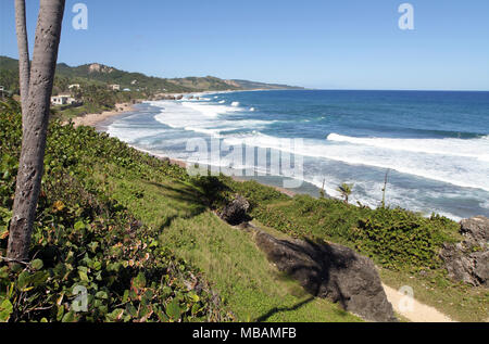 Vagues parmi les roches du rivage de la mer des Caraïbes avec de la végétation verte derrière beach Banque D'Images