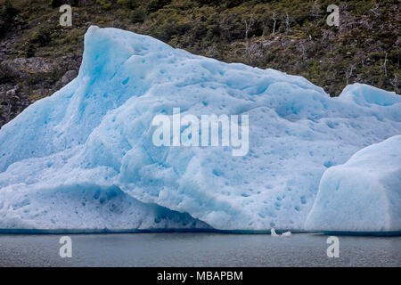 Le lac Grey, iceberg détaché du glacier Grey, parc national Torres del Paine, Patagonie, Chili Banque D'Images