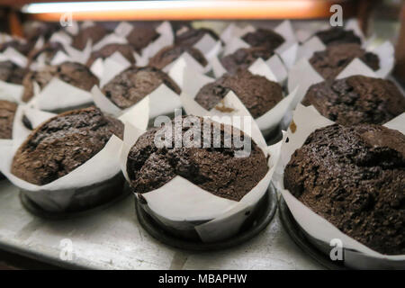 Roche Bros. supermarchés dans le Massachusetts, USA Banque D'Images