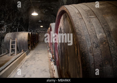 Des tonneaux de vin au Château de Brézé, vallée de la Loire, France Banque D'Images