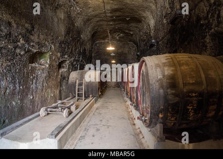 Des tonneaux de vin au Château de Brézé, vallée de la Loire, France Banque D'Images