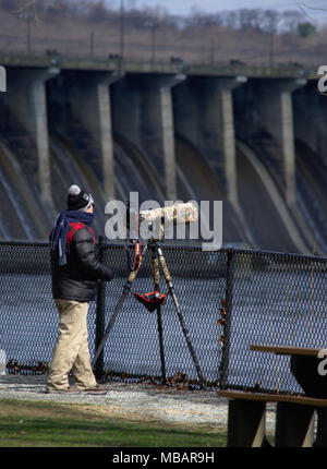 Photographe de la faune Les Aigles de tir Banque D'Images