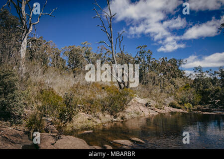 Megalong Valley, rivière, Blue Mountains, Australie Banque D'Images