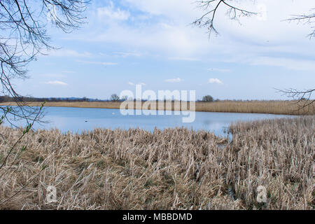 Natura 2000, Zator, Pologne, le 10 avril 2018. Le domaine de la nature est complètement protégé contre la civilisation contemporaine dans le cadre du programme Natura 2000. Un beau matin ensoleillé. La nature est de se réveiller en pleine floraison. Salon du silence des bruits de la ville et le bruit. Credit : w124merc / Alamy Live News Banque D'Images