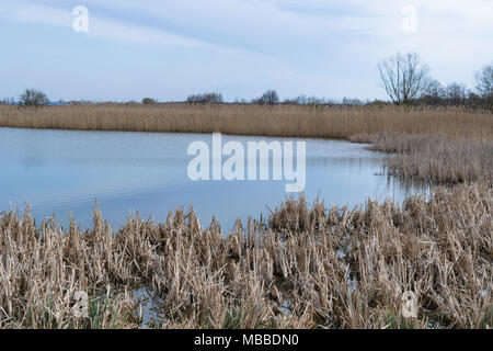 Natura 2000, Zator, Pologne, le 10 avril 2018. Le domaine de la nature est complètement protégé contre la civilisation contemporaine dans le cadre du programme Natura 2000. Un beau matin ensoleillé. La nature est de se réveiller en pleine floraison. Salon du silence des bruits de la ville et le bruit. Credit : w124merc / Alamy Live News Banque D'Images