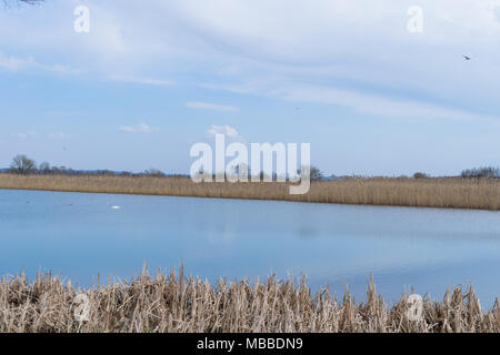 Natura 2000, Zator, Pologne, le 10 avril 2018. Le domaine de la nature est complètement protégé contre la civilisation contemporaine dans le cadre du programme Natura 2000. Un beau matin ensoleillé. La nature est de se réveiller en pleine floraison. Salon du silence des bruits de la ville et le bruit. Credit : w124merc / Alamy Live News Banque D'Images