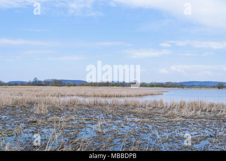 Natura 2000, Zator, Pologne, le 10 avril 2018. Le domaine de la nature est complètement protégé contre la civilisation contemporaine dans le cadre du programme Natura 2000. Un beau matin ensoleillé. La nature est de se réveiller en pleine floraison. Salon du silence des bruits de la ville et le bruit. Credit : w124merc / Alamy Live News Banque D'Images