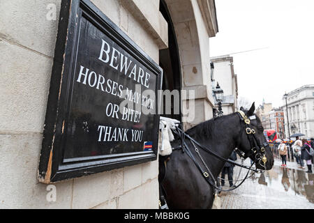 Un cheval de la Garde côtière canadienne Vie Queens sur Whitehall, Londres. Un signe de touristes d'avertissement "Attention les chevaux peuvent rejoindre votre chambre ou morsure ! Merci'. Banque D'Images