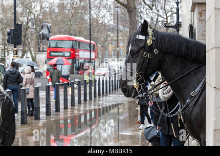 Londres, Angleterre. Un cheval de Horse Guards Parade observe un bus à impériale rouge Londres va passé un jour de pluie. Banque D'Images