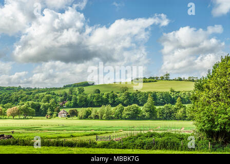 Ferme anglaise historique au milieu d'un champ au musée en plein air Weald & Downland de Singleton, West Sussex, Angleterre Banque D'Images