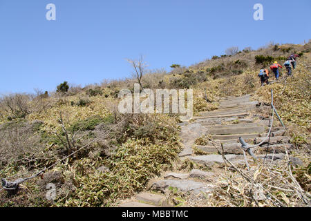 Jeju-do, Corée - 09 avril, 2015 Yeongsil en cours : Sentier de montagne Hallasan National Park dans l'île de Jéju, en Corée. Banque D'Images