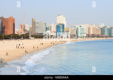 Busan, Corée - 23 janvier 2016 : vue sur la plage de Haeundae. Haeundae Beach est la plage la plus populaire de Busan en raison de son accès facile du centre-ville de Busa Banque D'Images