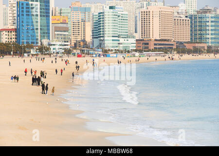 Busan, Corée - 23 janvier 2016 : vue sur la plage de Haeundae. Haeundae Beach est la plage la plus populaire de Busan en raison de son accès facile du centre-ville de Busa Banque D'Images