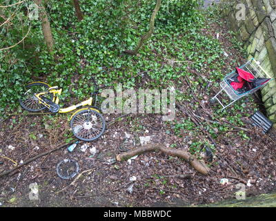 Une location de vélo jaune Ofo rejoint un chariot abandonné sur les rives de la rivière, Rivelin Sheffield, Royaume-Uni Banque D'Images